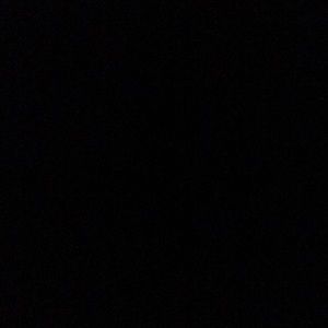 Meet your Posher, Maggie